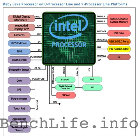 intel cannon lake-u pch-lp premium|Platform Code Named Kaby Lake U/Y documents and .
